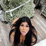 ledollsteph